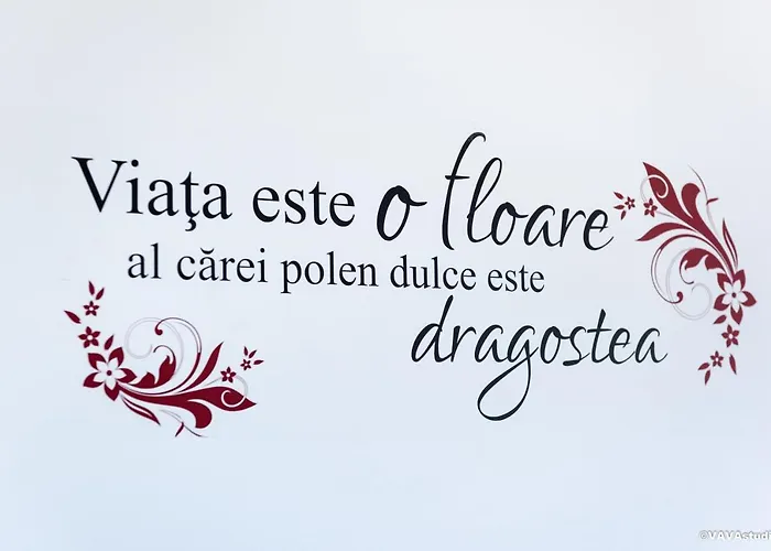 Carpe Diem براشوف